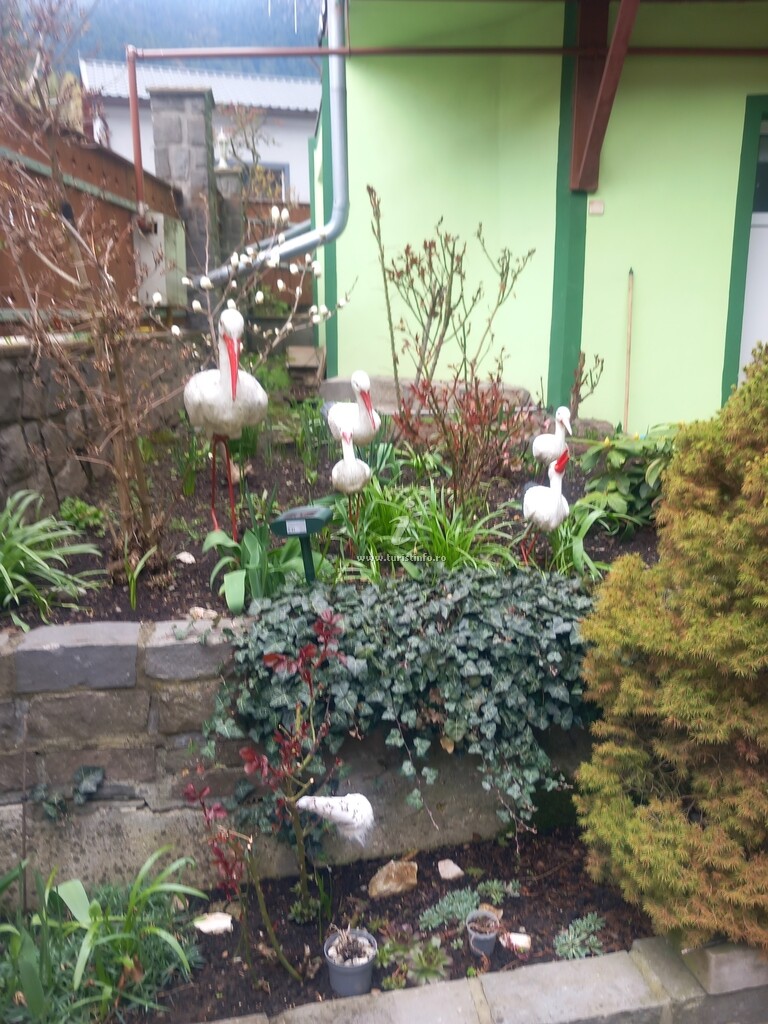 Pensiunea Casa Verde - Zold Haz