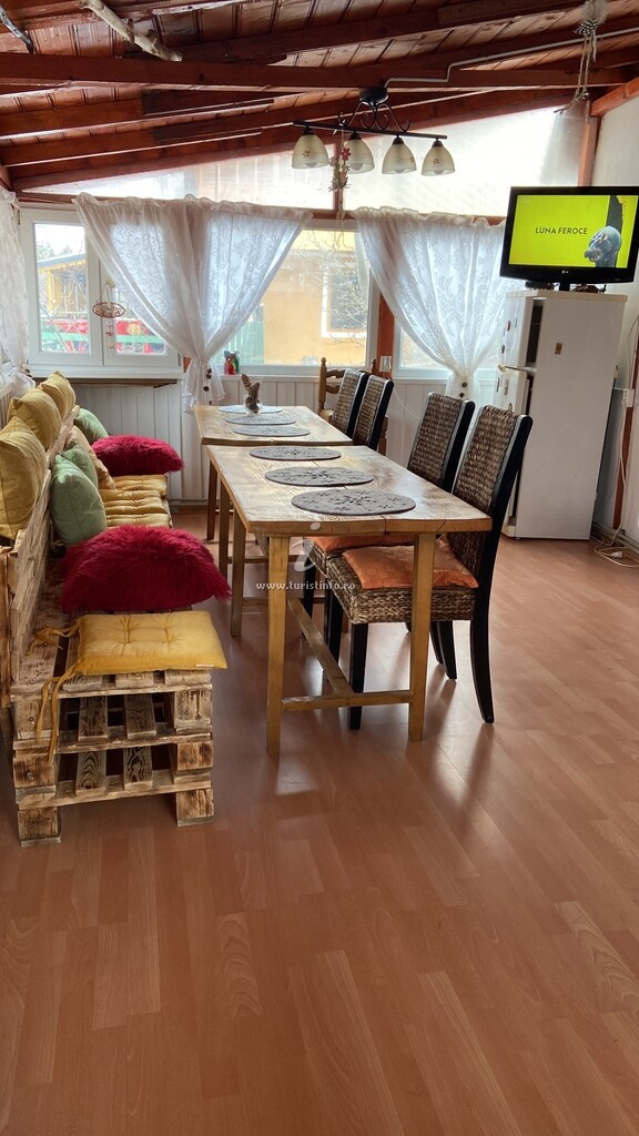 Camere de închiriat Casa cu Brazi