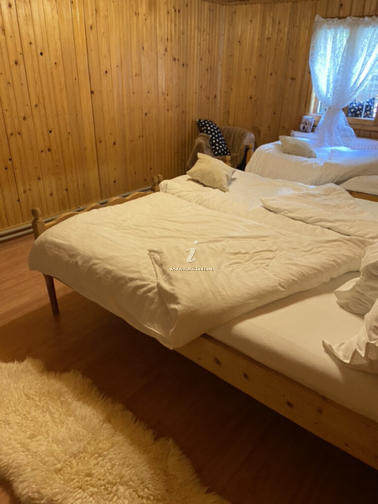 Camere de închiriat Casa cu Brazi