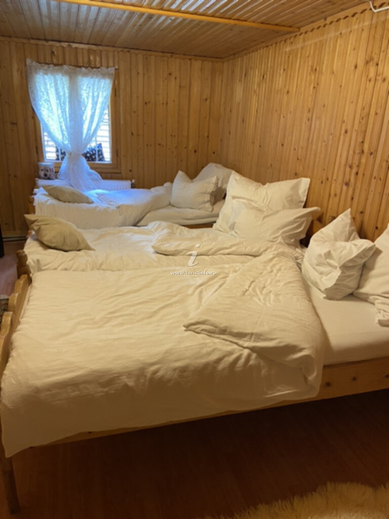 Camere de închiriat Casa cu Brazi