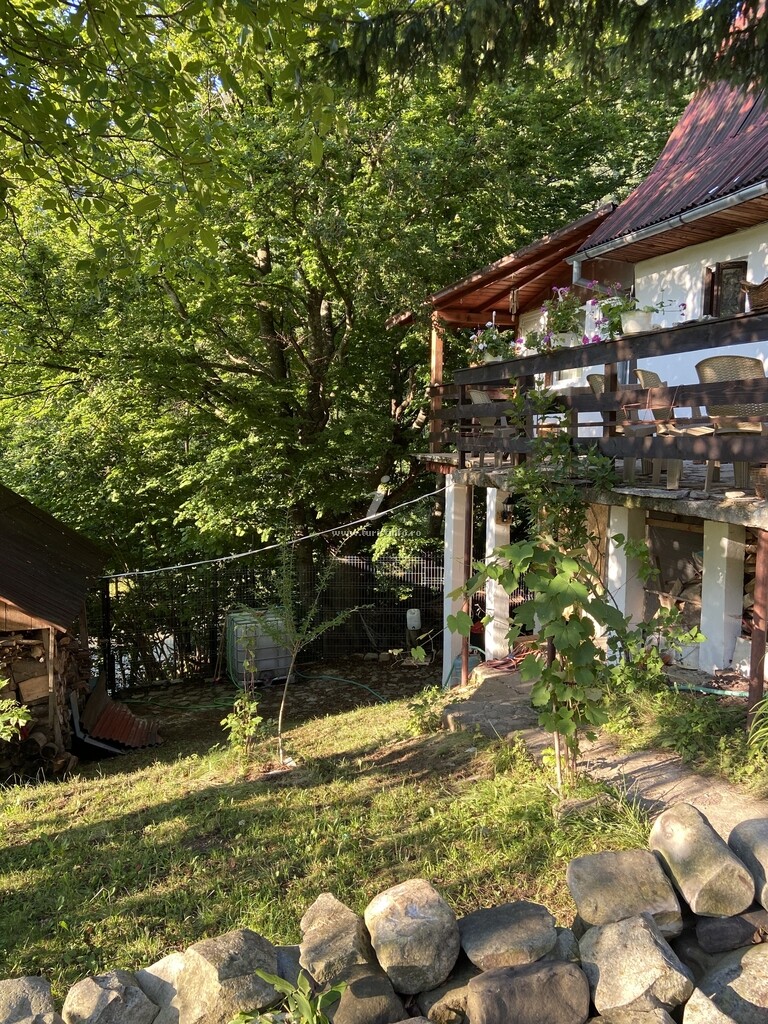 Camere de închiriat Casa cu Brazi