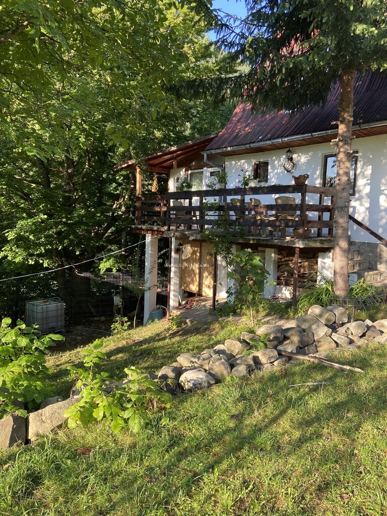 Camere de închiriat Casa cu Brazi