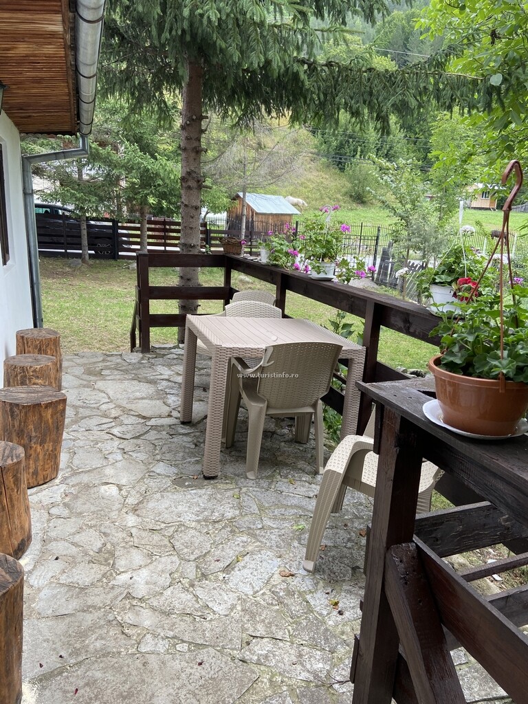 Camere de închiriat Casa cu Brazi