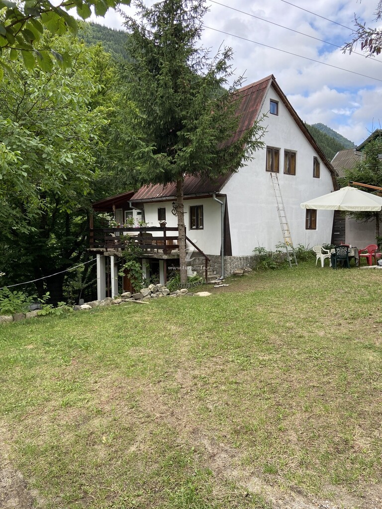 Camere de închiriat Casa cu Brazi