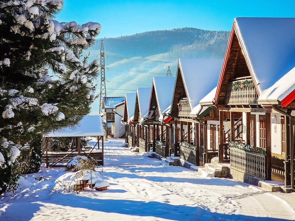 Bungalow Bogdăneasa