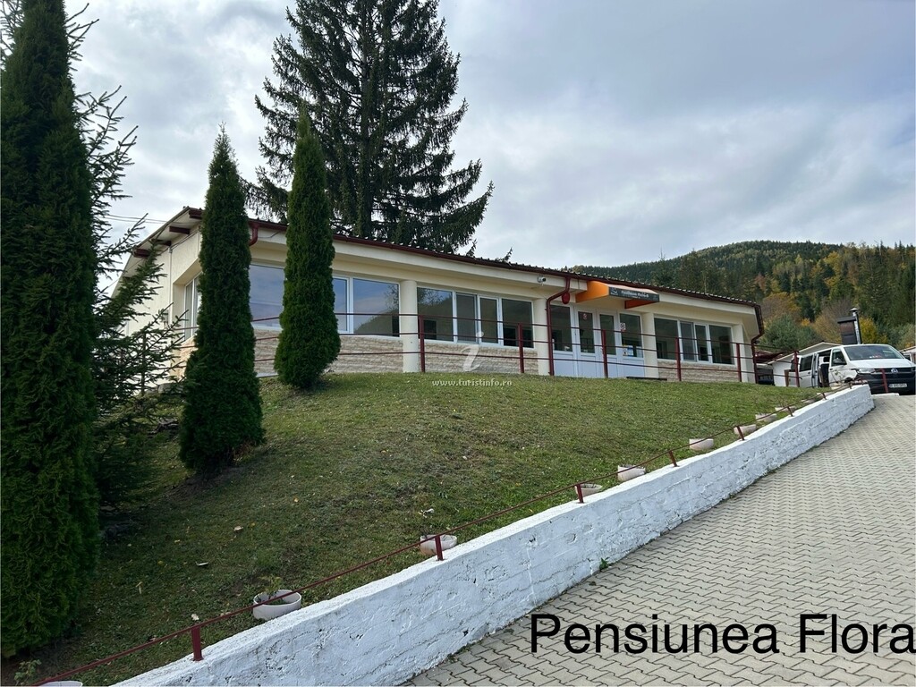 Pensiunea Flora - B