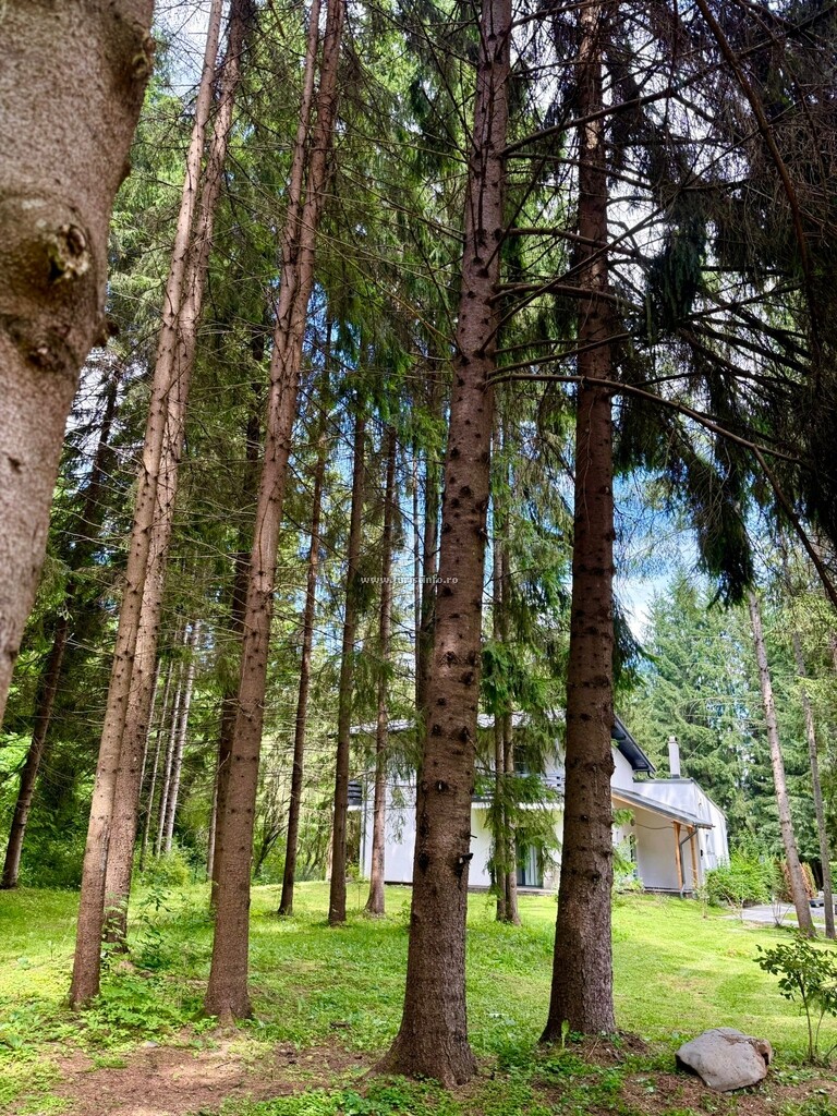 Casa de vacanță M 36