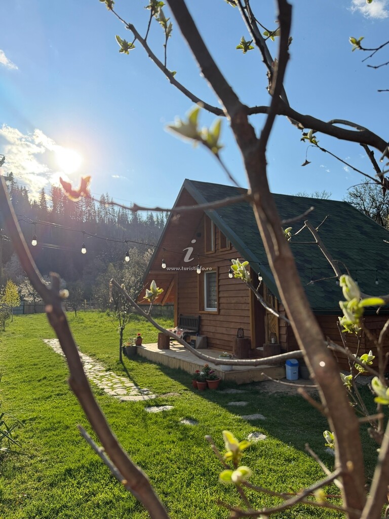 Cabana Escape Tiny Cabin