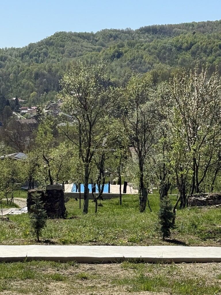 Vila Zen Resort and Winery