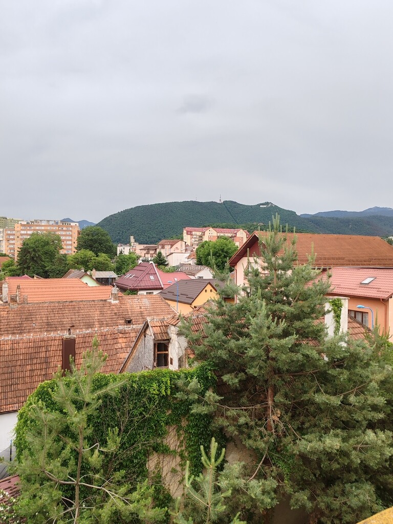 Pensiunea Hora
