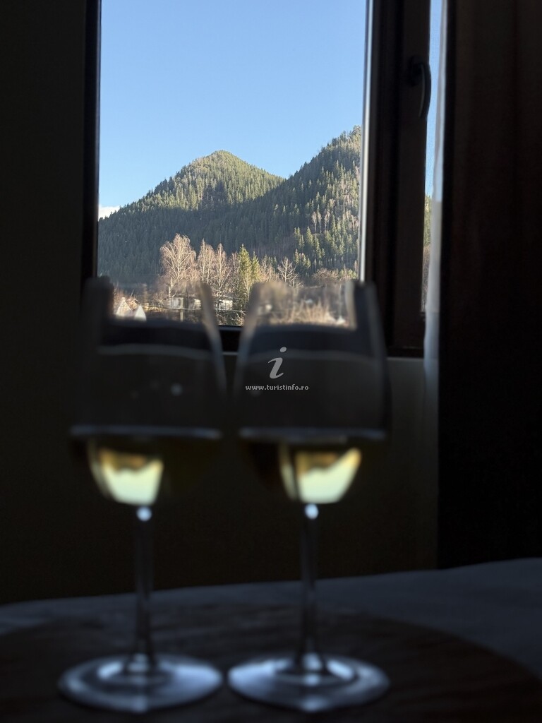 Casa de vacanță Transrarău Lodge