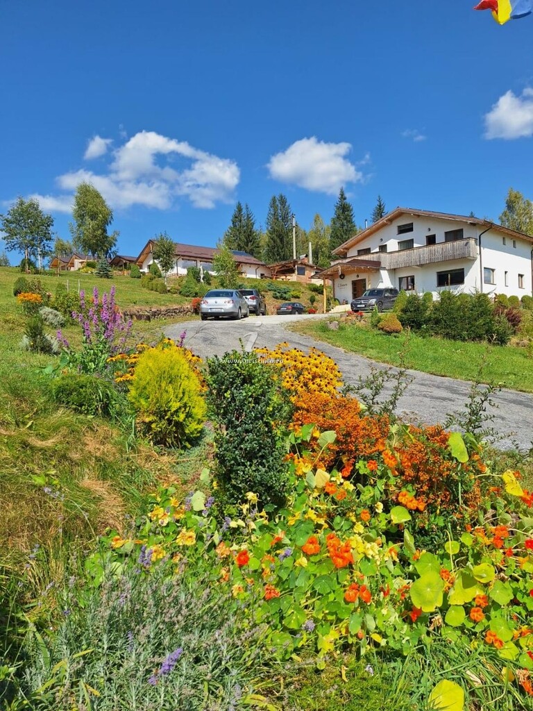 Pensiunea Agroturistică L`Amoro