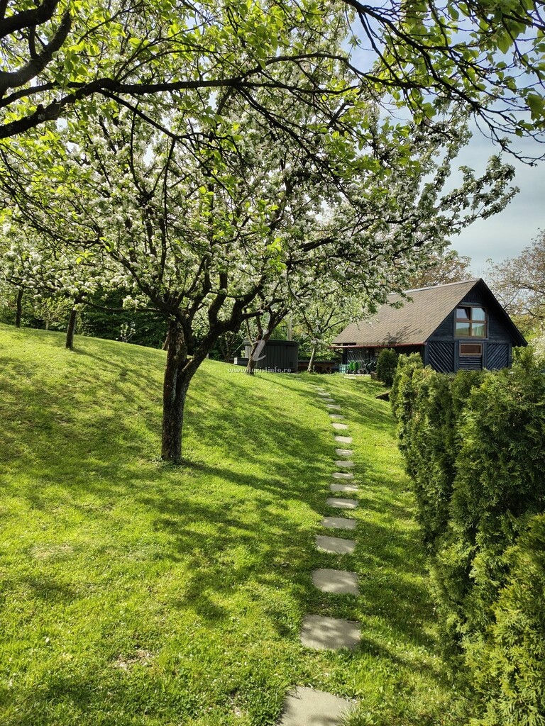 Pensiunea Verde