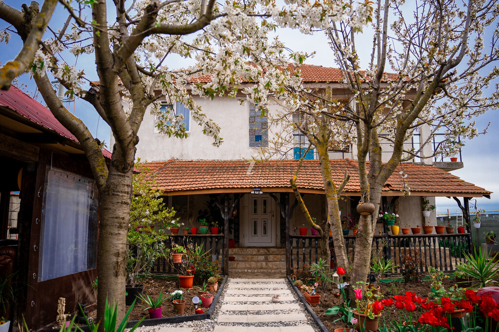 Casa Tanya