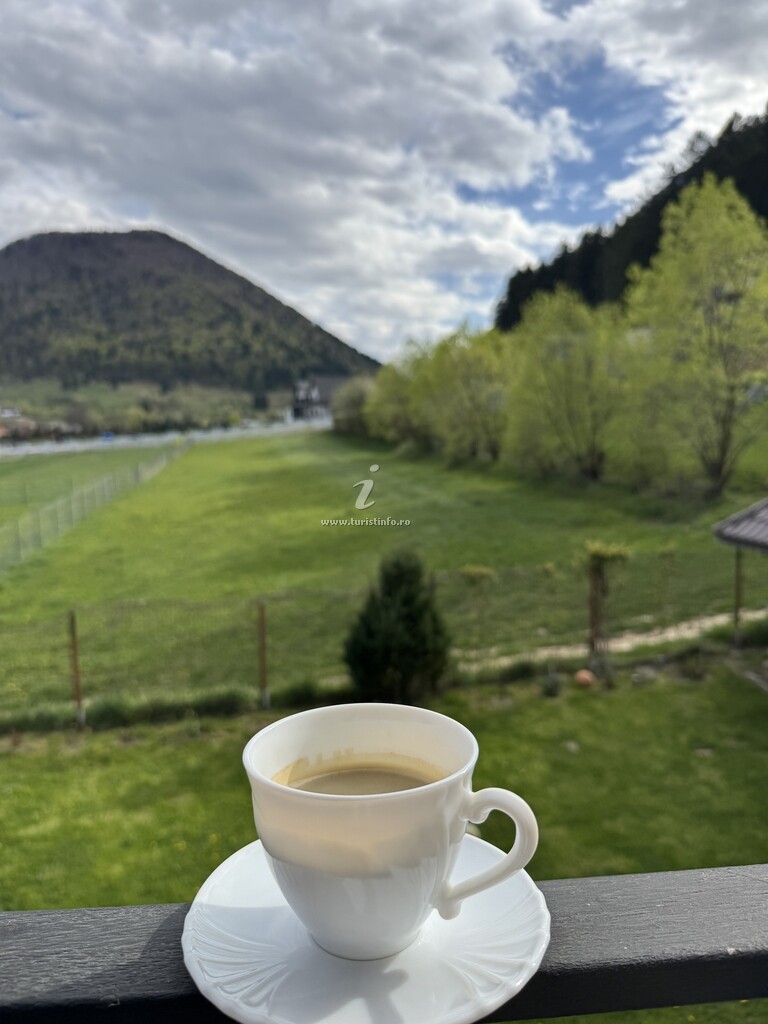 Casa de vacanță Simona