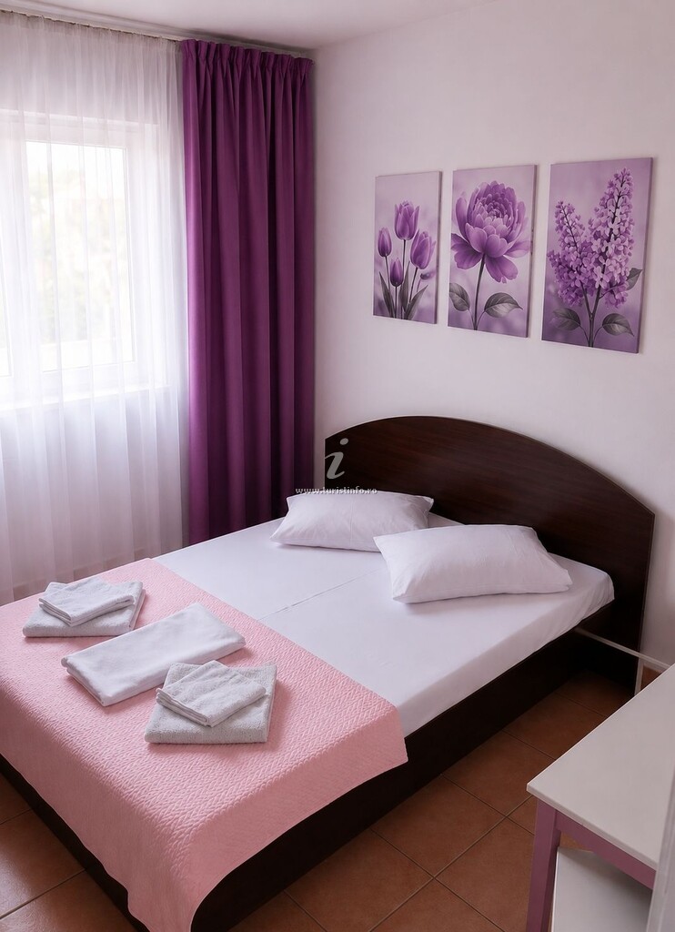 Vila Miruna Andreea