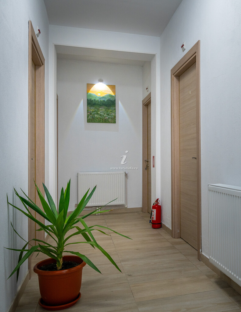 Camere de închiriat Yuka