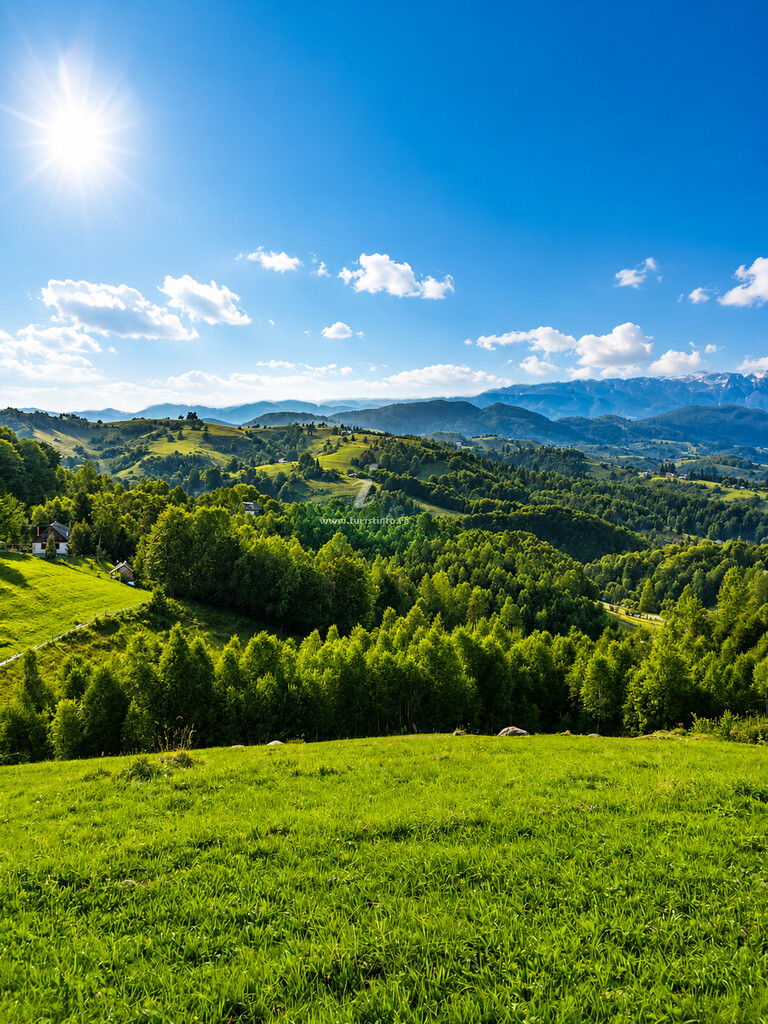 Vila Prater House Mountain View