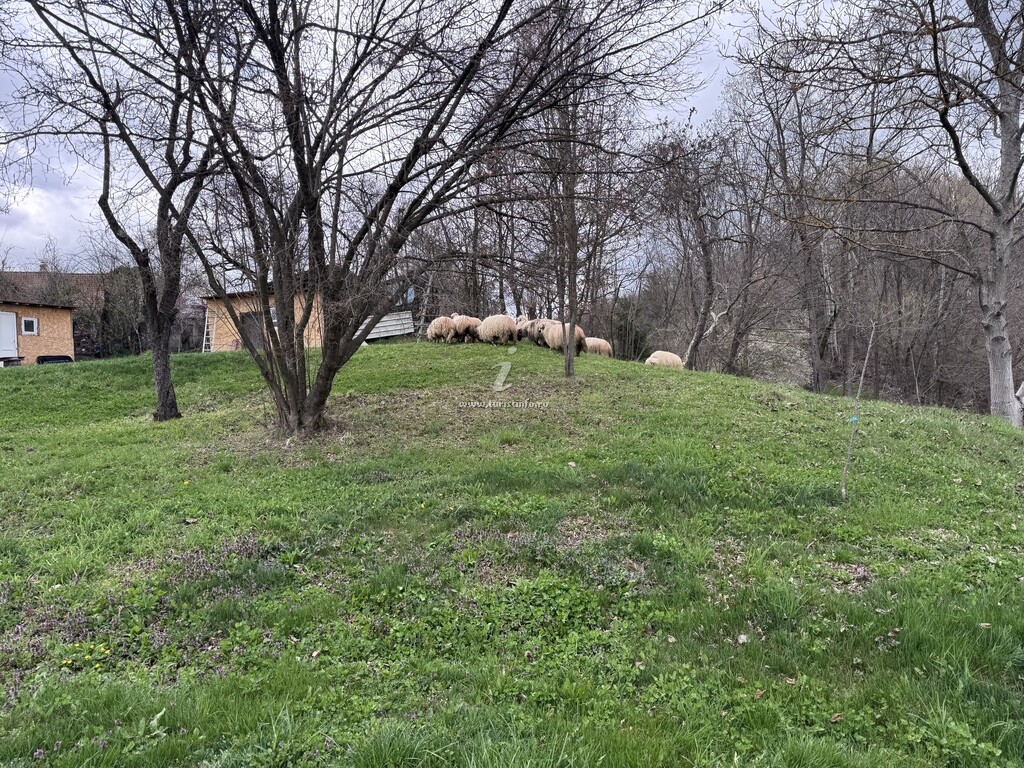 Pensiunea Valea Veverițelor