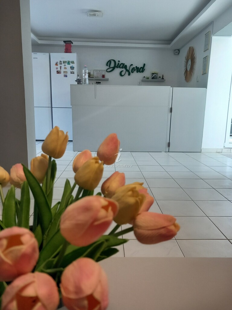 Camere de închiriat DiaNord
