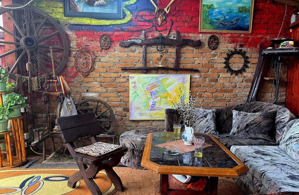 Camere de închiriat La Dacu'