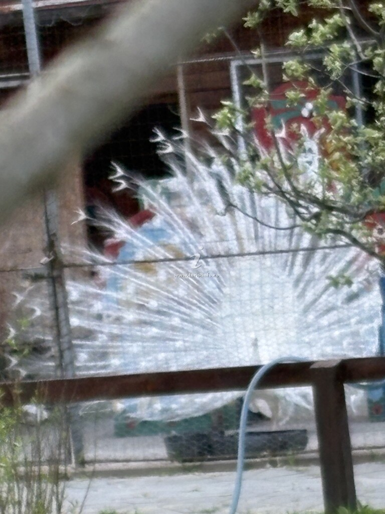 Casa de vacanță Tila