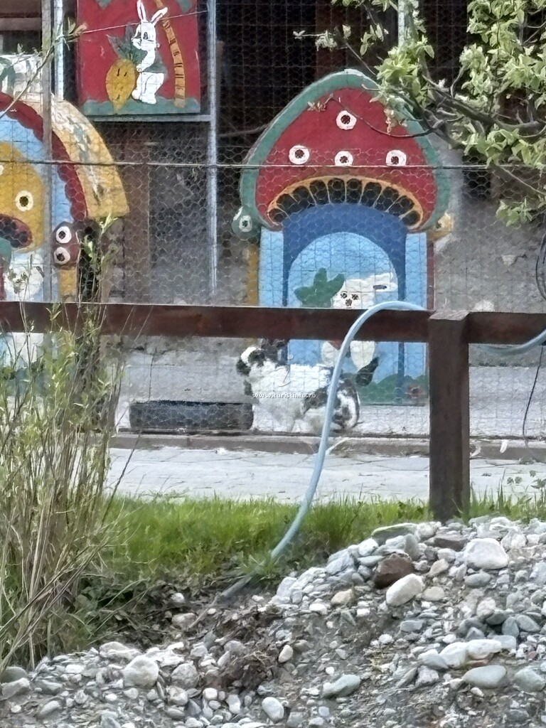 Casa de vacanță Tila