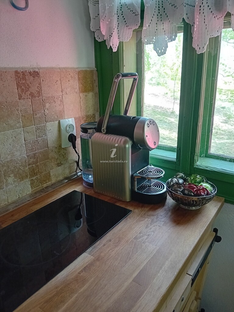 Casa Bunicilor Retezat