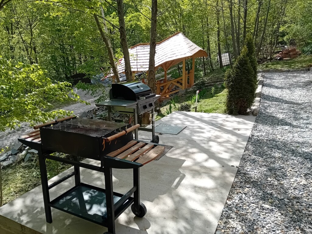 Casa Bunicilor Retezat