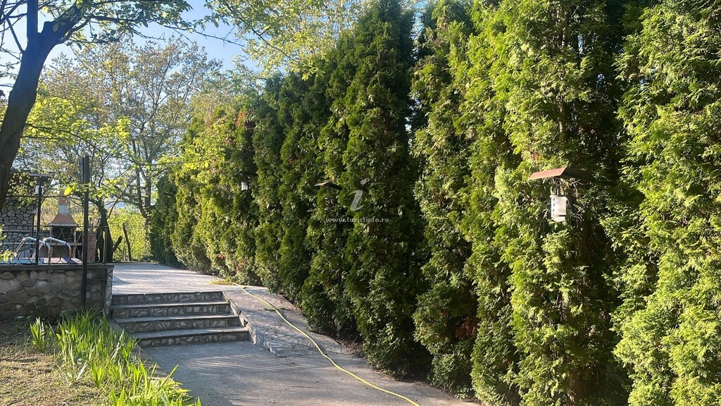 Casa Rodica