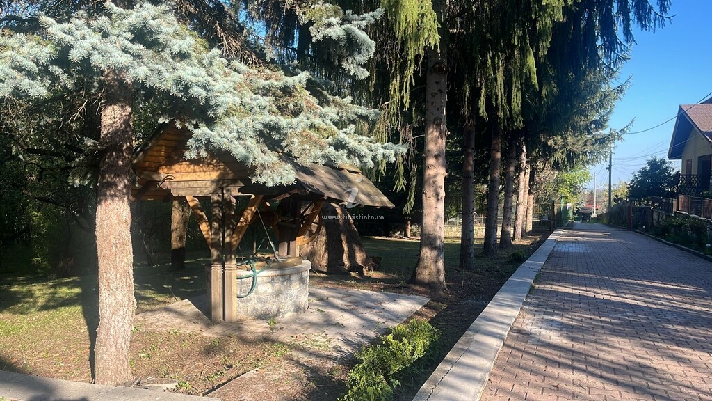 Casa Rodica