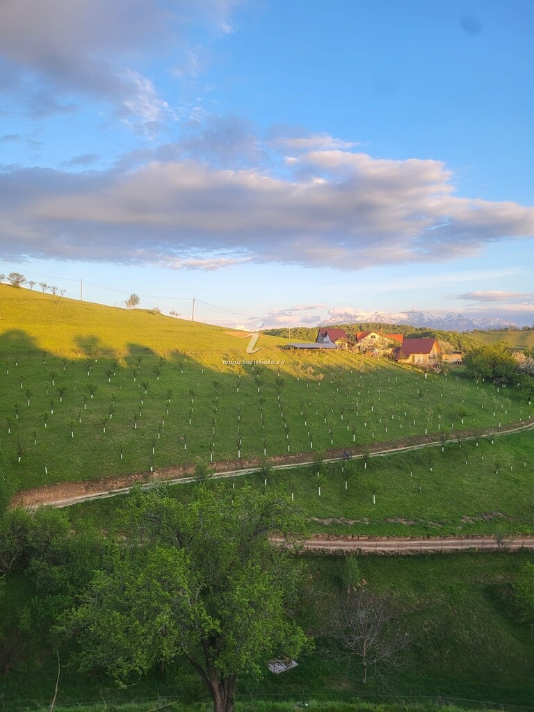 Casa din Livadă