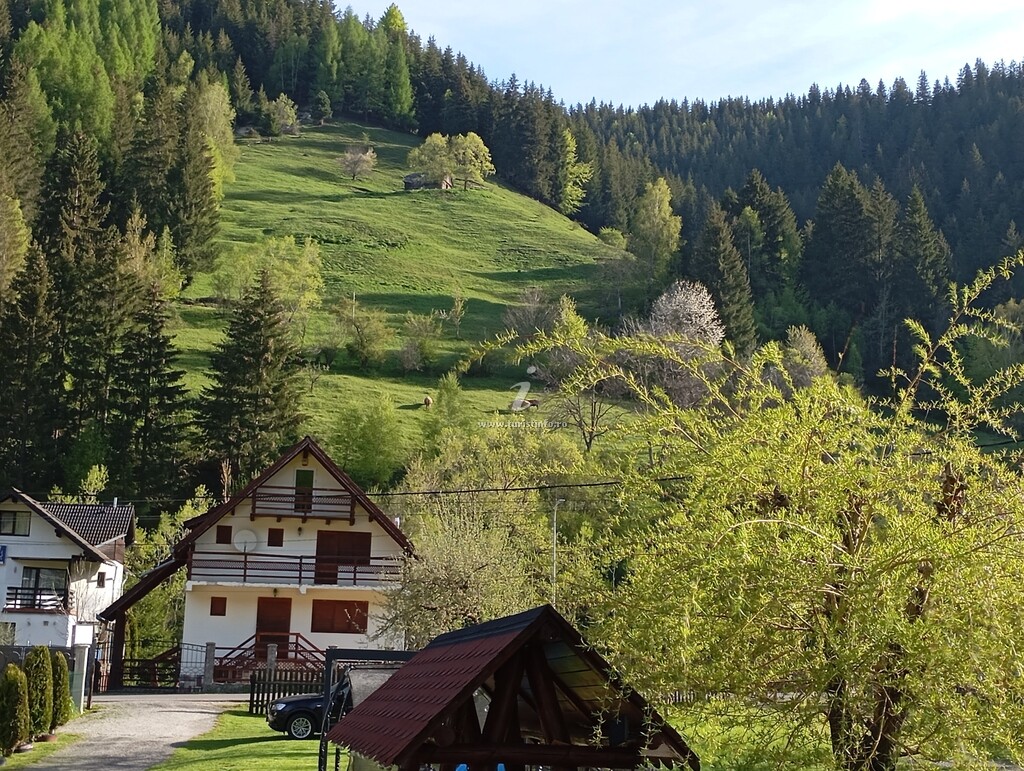 Vila Infinity Chalet