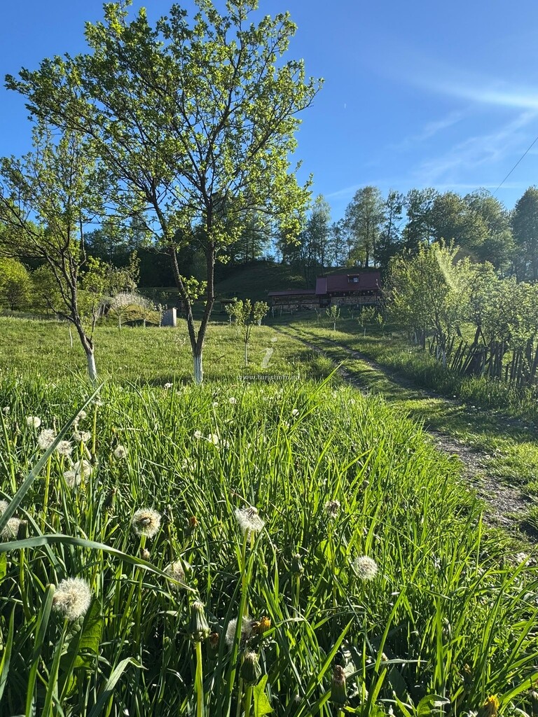 Sus la Căsuță