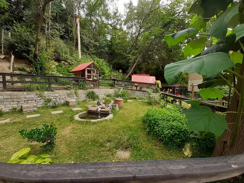 Camere de închiriat Mădălina
