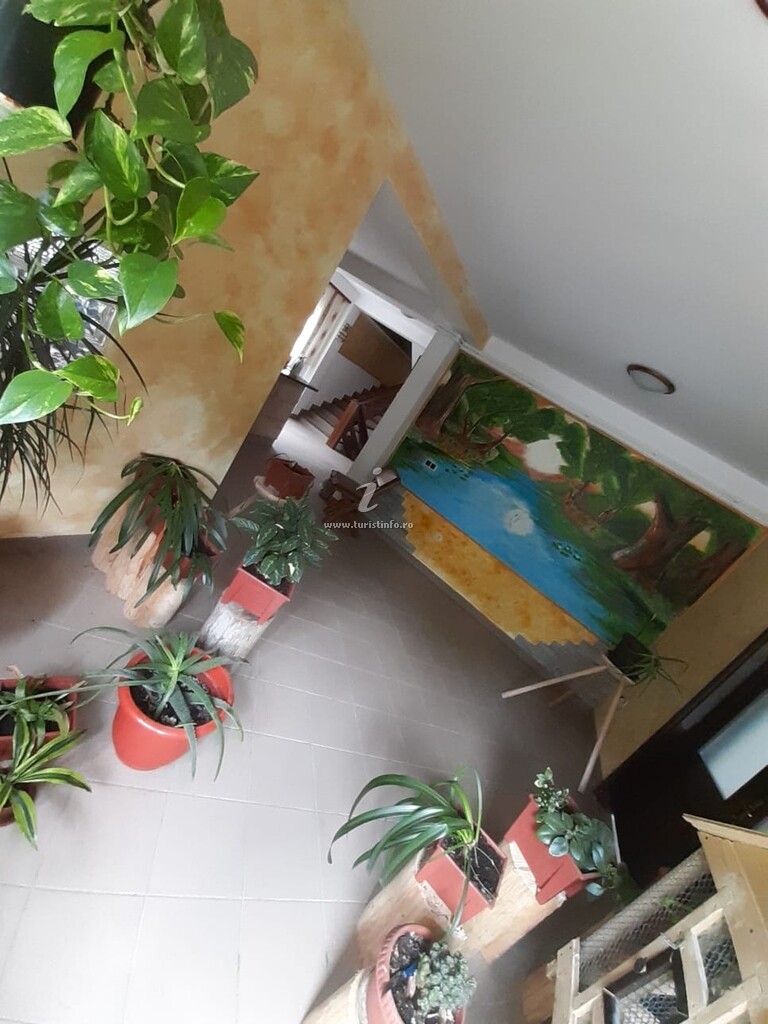 Camere de închiriat Mădălina