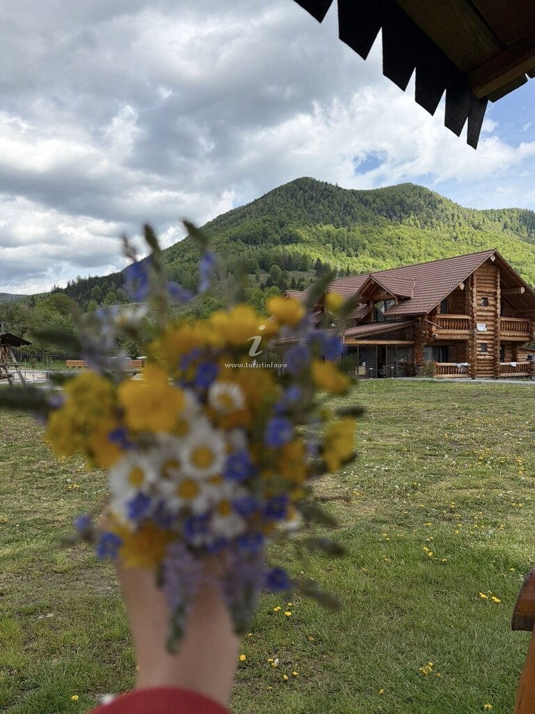 Casa de vacanță Chalet în Munții Vrancei