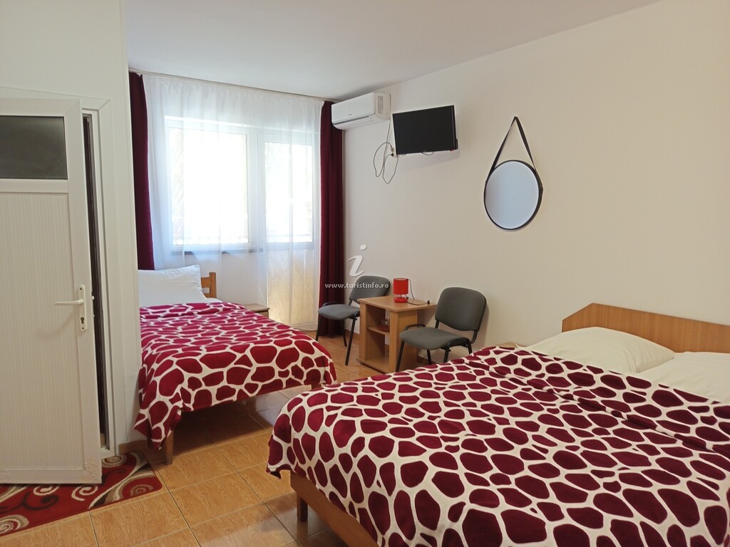 Camere de închiriat Albatros