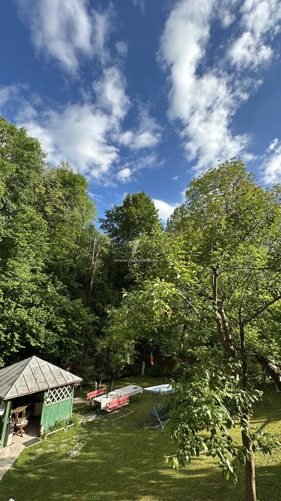 Căsuța din Pădure