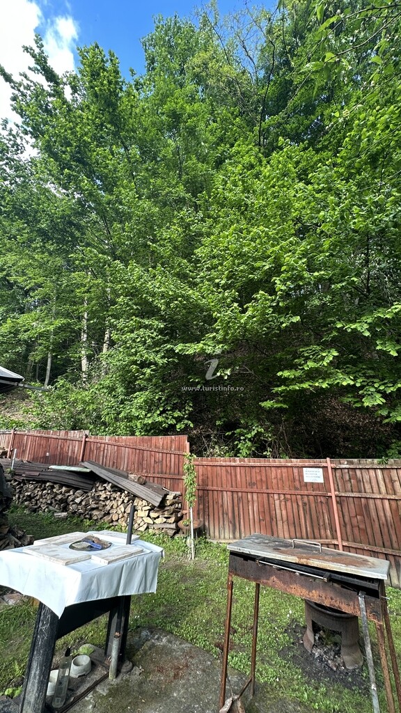 Căsuța din Pădure