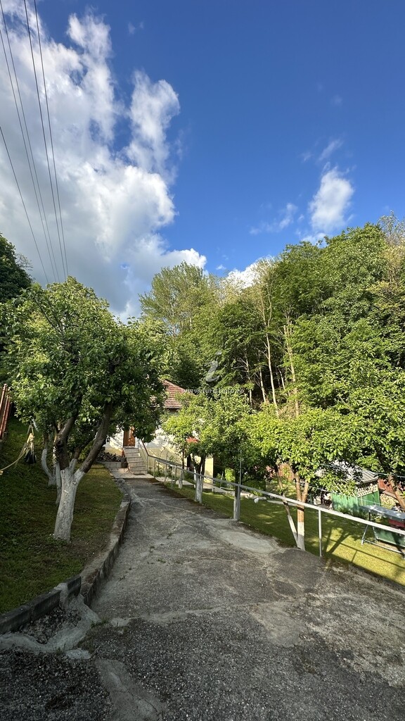 Căsuța din Pădure
