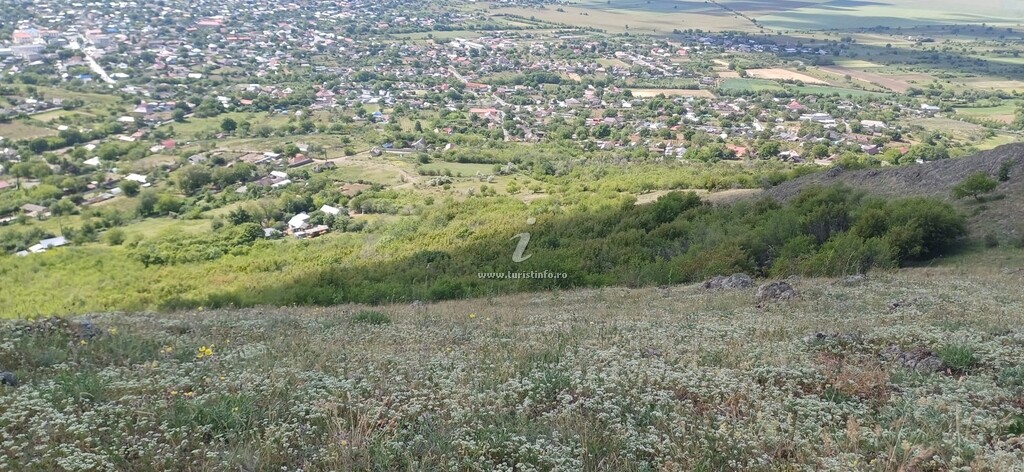 Casa de vacanță Niculițel