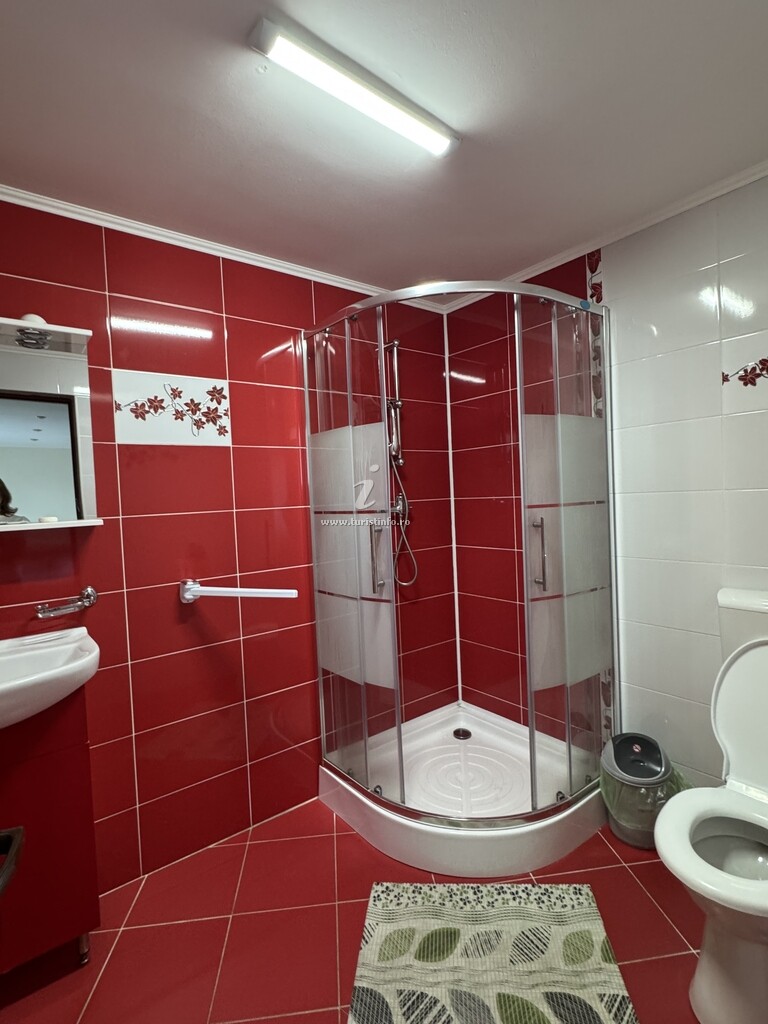 Camere de închiriat Gabi