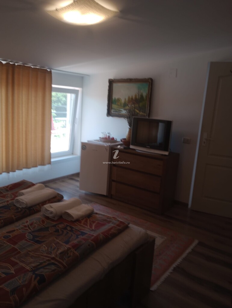 Vila Georgeta