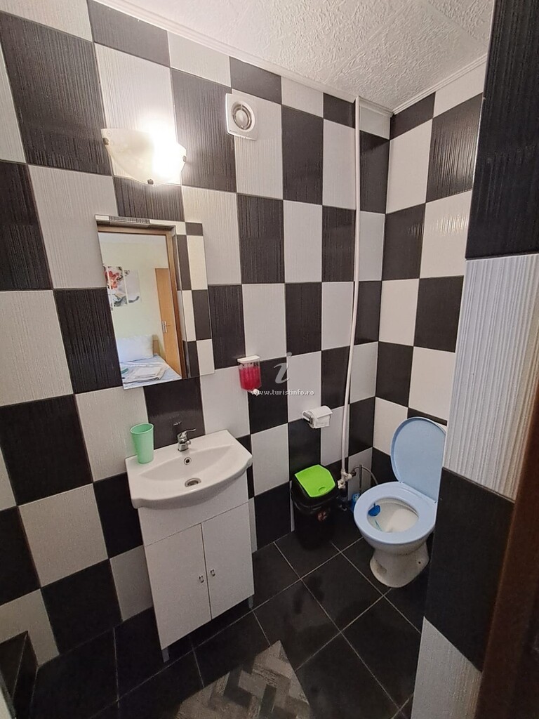 Camere de închiriat Vlad