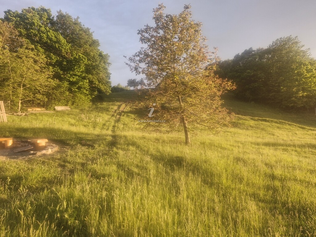 Cabana Ursului