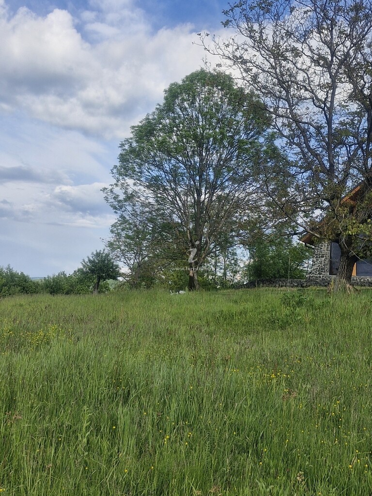 Cabana Ursului