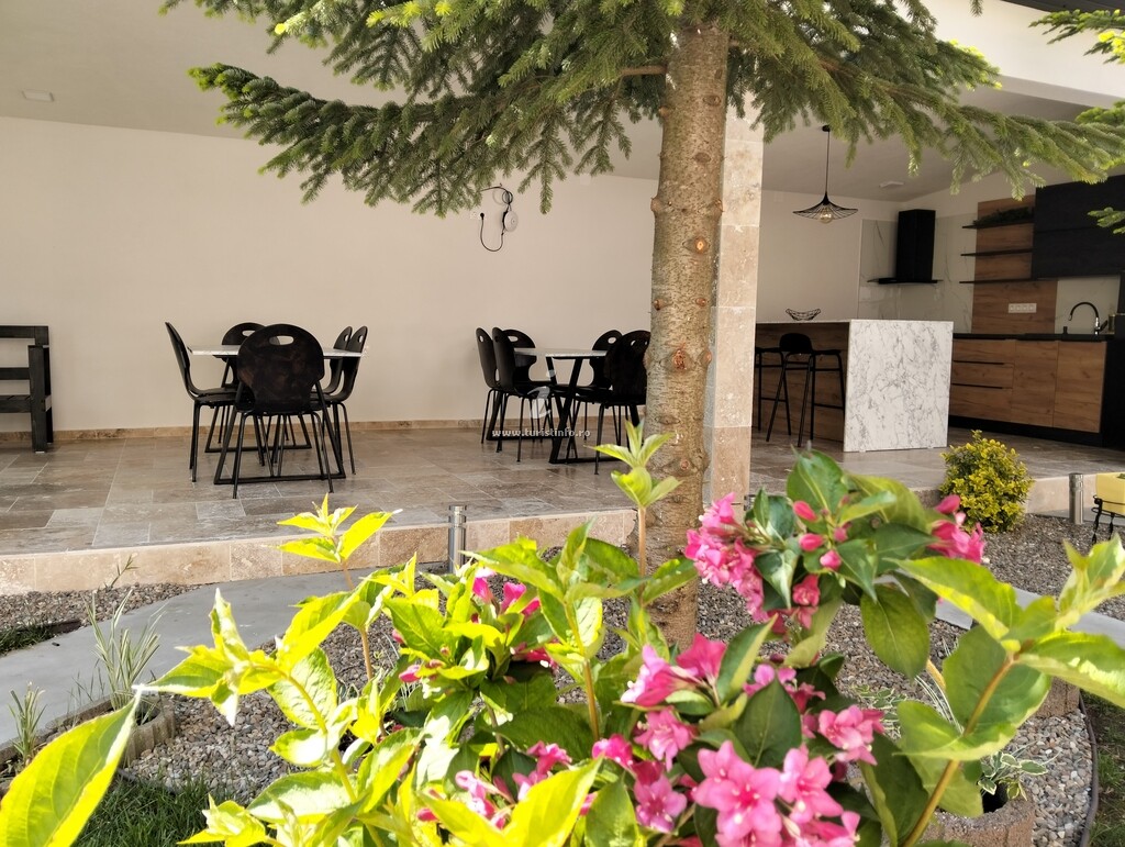 Camere de închiriat Ambiance