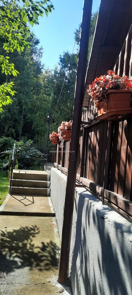 Vila Nr. 4 Căprioara