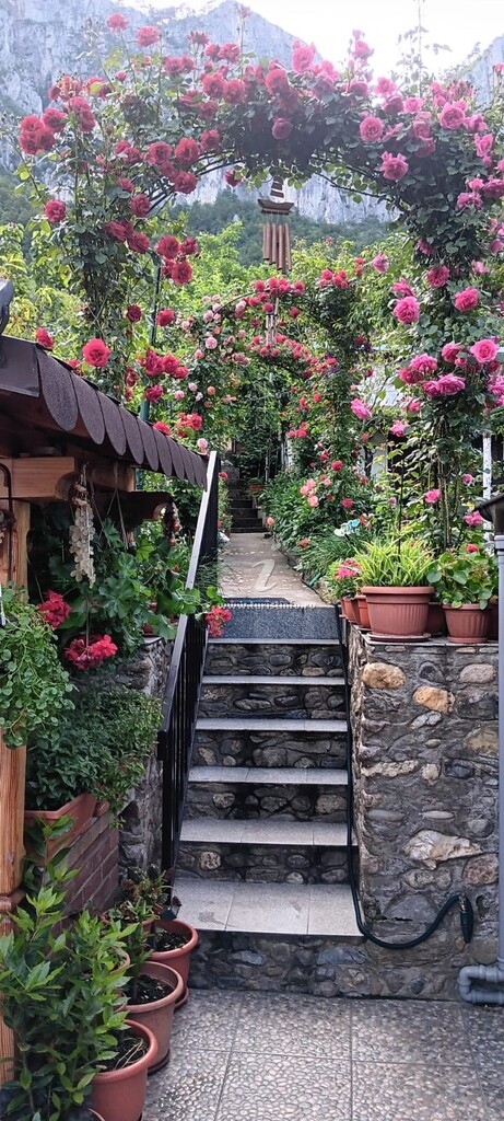 Casa cu Flori